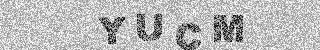 確認代碼